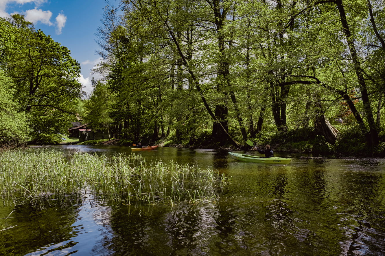 Spływy kajakowe rzeką Wel